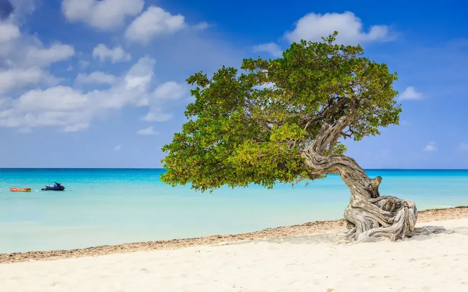 Eagle Beach, Caribe